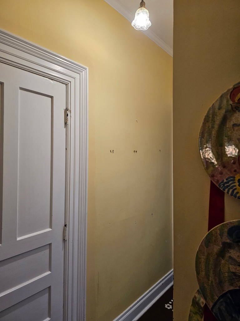 a different view of the same hall - the closed white door is on the left, a small light fixture top center, and a wall with two decorative plates on the right