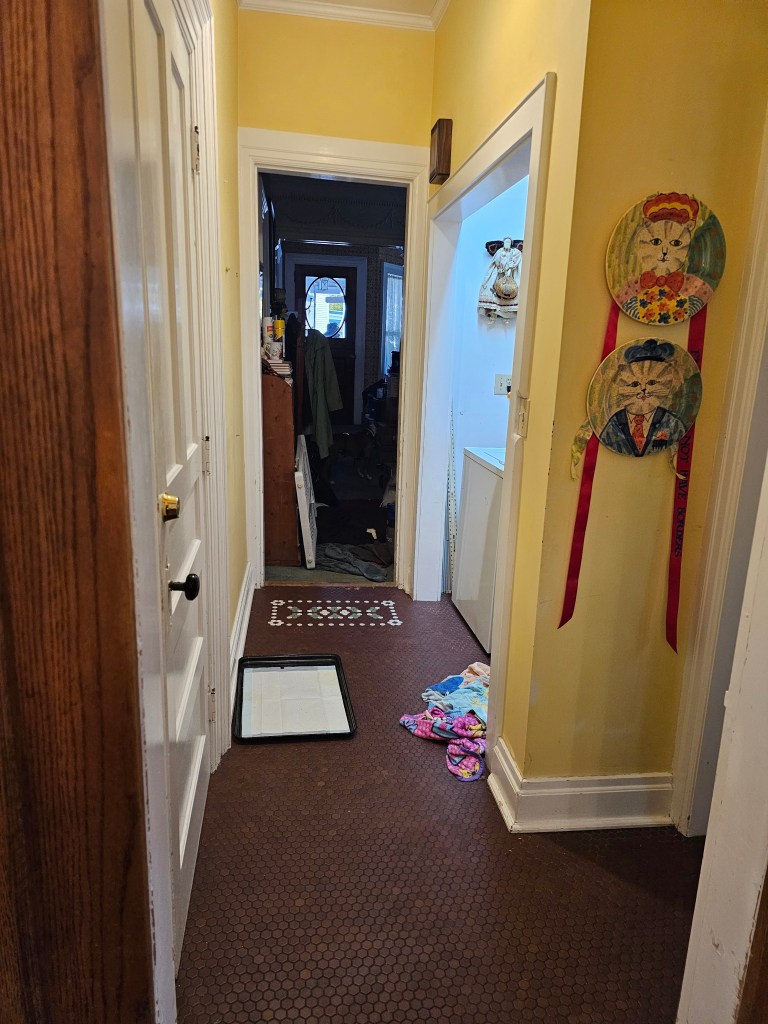 the same hall again, looking directly from the kitchen into the hall. decorative plates in clear view on the right, the corner of the washing machine visible in the closet, the hall beyond is in shadow, white door to the right